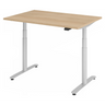 XDLR 12 S | 120x80 | Schreibtisch elektrisch höhenverstellbar - buerostuhl24