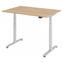 XDLR 12 S | 120x80 | Schreibtisch elektrisch höhenverstellbar - buerostuhl24