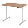 XDLR 12 S | 120x80 | Schreibtisch elektrisch höhenverstellbar - buerostuhl24