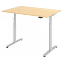 XDLR 12 S | 120x80 | Schreibtisch elektrisch höhenverstellbar - buerostuhl24