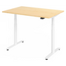 XDLR 12 W | 120x80 | Schreibtisch elektrisch höhenverstellbar - buerostuhl24