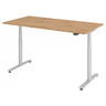 XDLR 16 S | 160x80 | Schreibtisch elektrisch höhenverstellbar - buerostuhl24