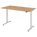 XDLR 16 S | 160x80 | Schreibtisch elektrisch höhenverstellbar - buerostuhl24
