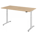 XDLR 16 S | 160x80 | Schreibtisch elektrisch höhenverstellbar - buerostuhl24