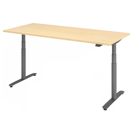 XDLR 19 G | 180x80 | Schreibtisch elektrisch höhenverstellbar - buerostuhl24