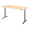 XDLR 19 G | 180x80 | Schreibtisch elektrisch höhenverstellbar - buerostuhl24