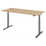XDLR 19 G | 180x80 | Schreibtisch elektrisch höhenverstellbar - buerostuhl24