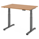 XDSM 12 G | 120x80 | Schreibtisch elektrisch höhenverstellbar - buerostuhl24