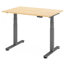 XDSM 12 G | 120x80 | Schreibtisch elektrisch höhenverstellbar - buerostuhl24
