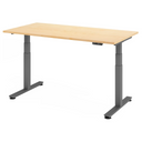 XDSM 16 G | 160x80 | Schreibtisch elektrisch höhenverstellbar