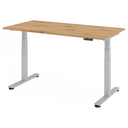 XDSM 16 S | 160x80 | Schreibtisch elektrisch höhenverstellbar