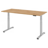 XDSM 19 S | 180x80 | Schreibtisch elektrisch höhenverstellbar - buerostuhl24