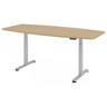XDSM 22 S | 220x103 | Schreibtisch elektrisch höhenverstellbar - buerostuhl24