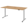 XDSM 2E S | 200x100 | Schreibtisch elektrisch höhenverstellbar - buerostuhl24