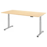 XDSM 2E S | 200x100 | Schreibtisch elektrisch höhenverstellbar - buerostuhl24