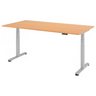 XDSM 2E S | 200x100 | Schreibtisch elektrisch höhenverstellbar - buerostuhl24