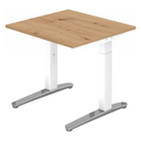 XTRA XB 8 WC | 80x80 | Schreibtisch höhenverstellbar - buerostuhl24